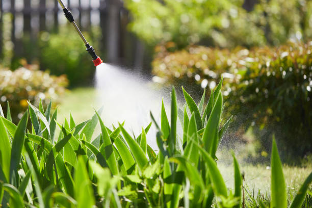 24/7 Emergency Fumigation Services experts in Worthington, MN