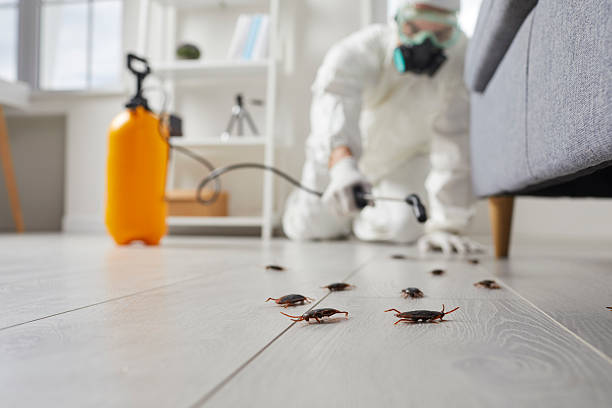 Trusted Fumigation Services service in Worthington, MN - Nex Pest Control